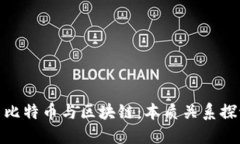 : 比特币与区块链：本质关