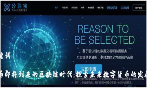 及关键词

比特币即将到来的区块链时代：探索未来数字货币的发展趋势