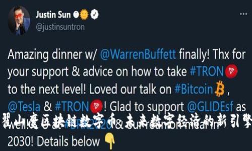 翟山鹰区块链数字币：未来数字经济的新引擎