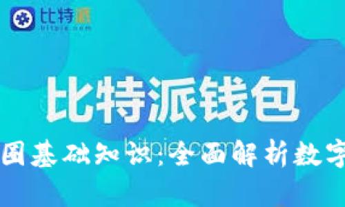 区块链入币圈基础知识：全面解析数字货币的世界