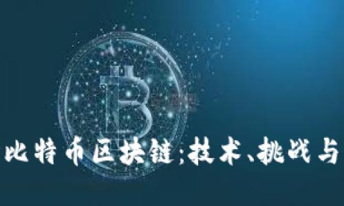 探索矿场比特币区块链：技术、挑战与未来趋势