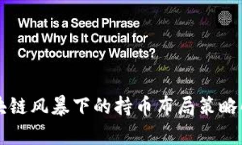 区块链风暴下的持币布局策略解析