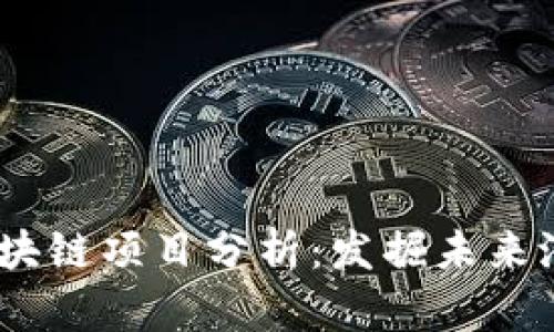2023年最新区块链项目分析：发掘未来潜力与创新机会