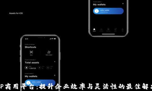 
探索TP商用平台：提升企业效率与灵活性的最佳解决方案
