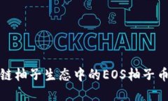 如何利用区块链柚子生态