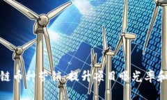 如何有效进行区块链币种