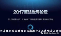 如何有效利用区块链公示