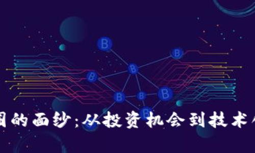 揭开区块链币圈的面纱：从投资机会到技术创新的深度解析