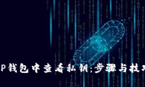 如何在TP钱包中查看私钥：步骤与技巧大揭秘