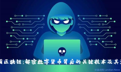 币圈区块链：解密数字货币背后的关键技术及其影响