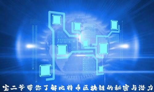 
宝二爷带你了解比特币区块链的秘密与潜力