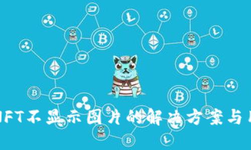 TP钱包NFT不显示图片的解决方案与用户指南