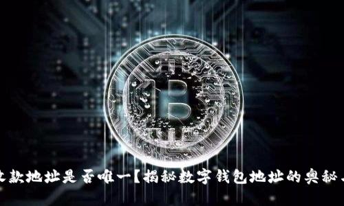 TP钱包收款地址是否唯一？揭秘数字钱包地址的奥秘与安全性