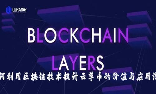 如何利用区块链技术提升云尊币的价值与应用潜力