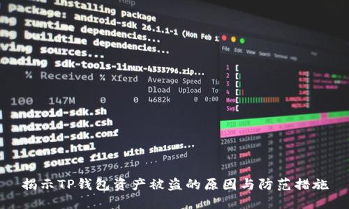 揭示TP钱包资产被盗的原因与防范措施