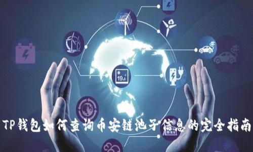 TP钱包如何查询币安链池子信息的完全指南