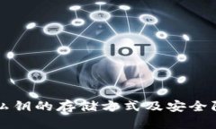 TP钱包私钥的存储方式及安