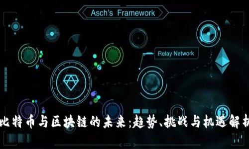 比特币与区块链的未来：趋势、挑战与机遇解析