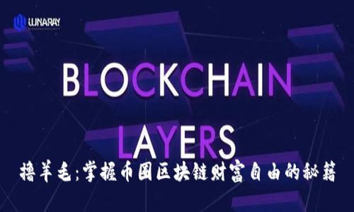 撸羊毛：掌握币圈区块链财富自由的秘籍