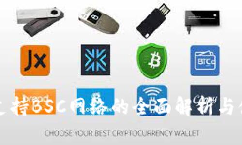 TP钱包支持BSC网络的全面解析与使用指南