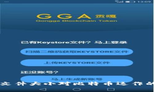 深入探讨区块链文件大小对比特币运作的影响与未来展望