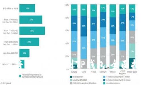 如何将美元提取到TP钱包：全面指南