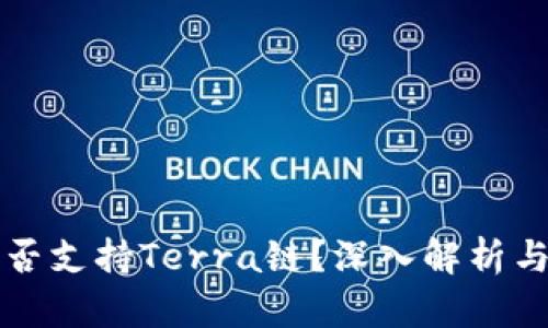 TP钱包是否支持Terra链？深入解析与用户指南