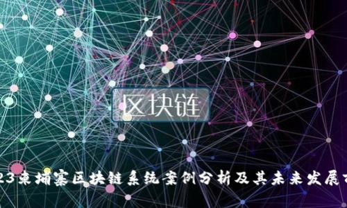 2023柬埔寨区块链系统案例分析及其未来发展前景