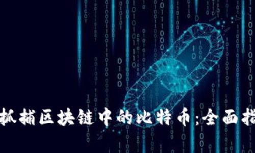 如何有效抓捕区块链中的比特币：全面指南与技巧