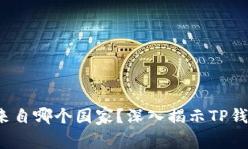  TP钱包创始人来自哪个国家？深入揭示TP钱包的背景与发展
