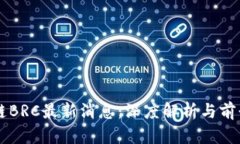 区块链BRC最新消息：深度