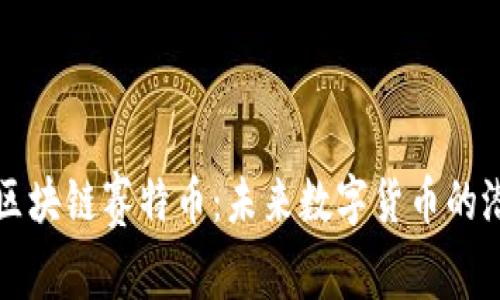 深入探讨区块链赛特币：未来数字货币的潜力与挑战