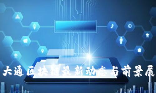 : 大通区块链最新动态与前景展望
