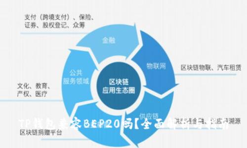 TP钱包兼容BEP20吗？全面解析与指南
