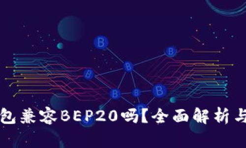 TP钱包兼容BEP20吗？全面解析与指南