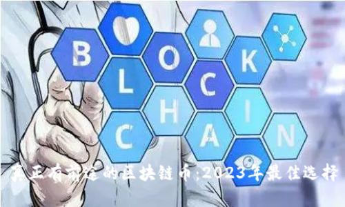真正有前途的区块链币：2023年最佳选择