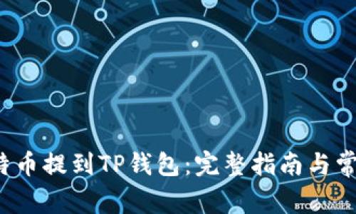  如何将莱特币提到TP钱包：完整指南与常见问题解答