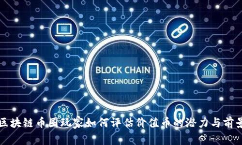 区块链币圈玩家如何评估价值币的潜力与前景