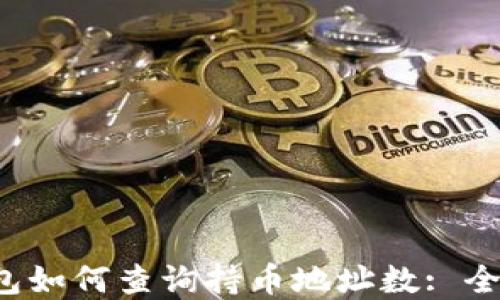 
t p钱包如何查询持币地址数: 全面指南