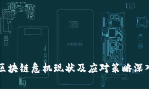 美国区块链危机现状及应对策略深入解析